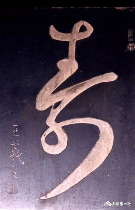 胸懷大痣 壽字古字